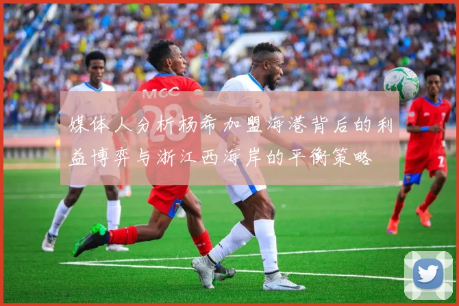 媒体人分析杨希加盟海港背后的利益博弈与浙江西海岸的平衡策略